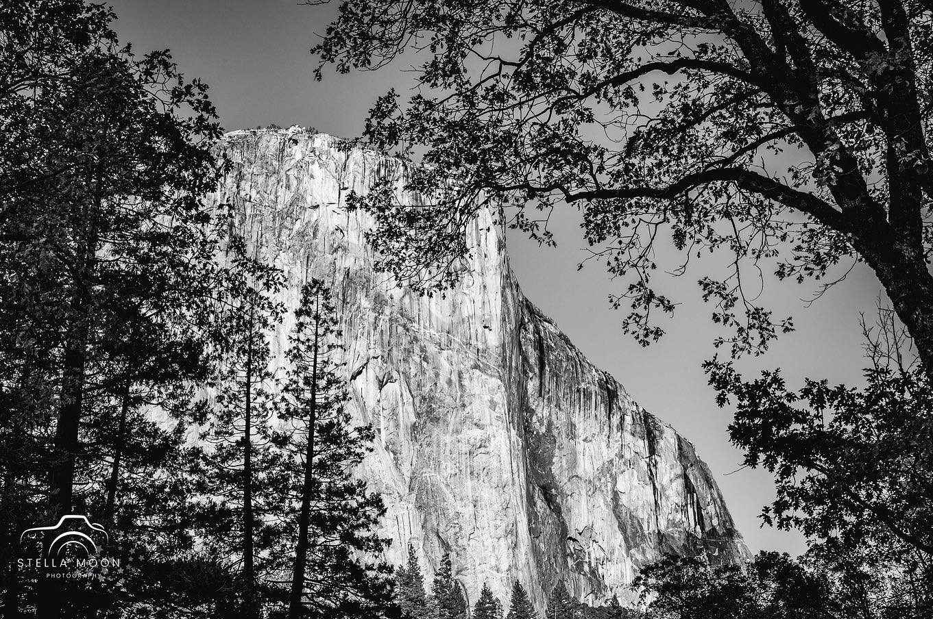 Take me back to Yosemite ! Ok maybe not right now&mdash; I&rsquo;ll wait for warmer months but man was it beautiful&hellip;  a few photos of this beautiful place in black and white