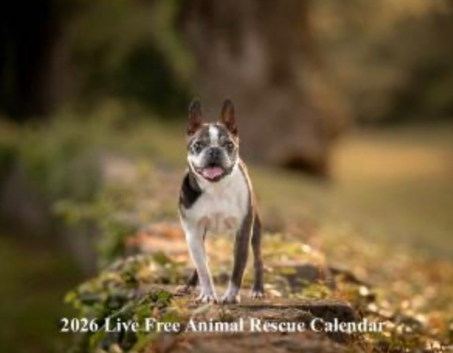 It&rsquo;s finally here!! The 2026 Live Free Animal Rescue Calendar is ready for purchase!! All sales help benefit the rescue!! December 17th is the cutoff date for Standard shipping before Christmas. Dec 19th for 2-day and Dec 21st for next day!! Ge
