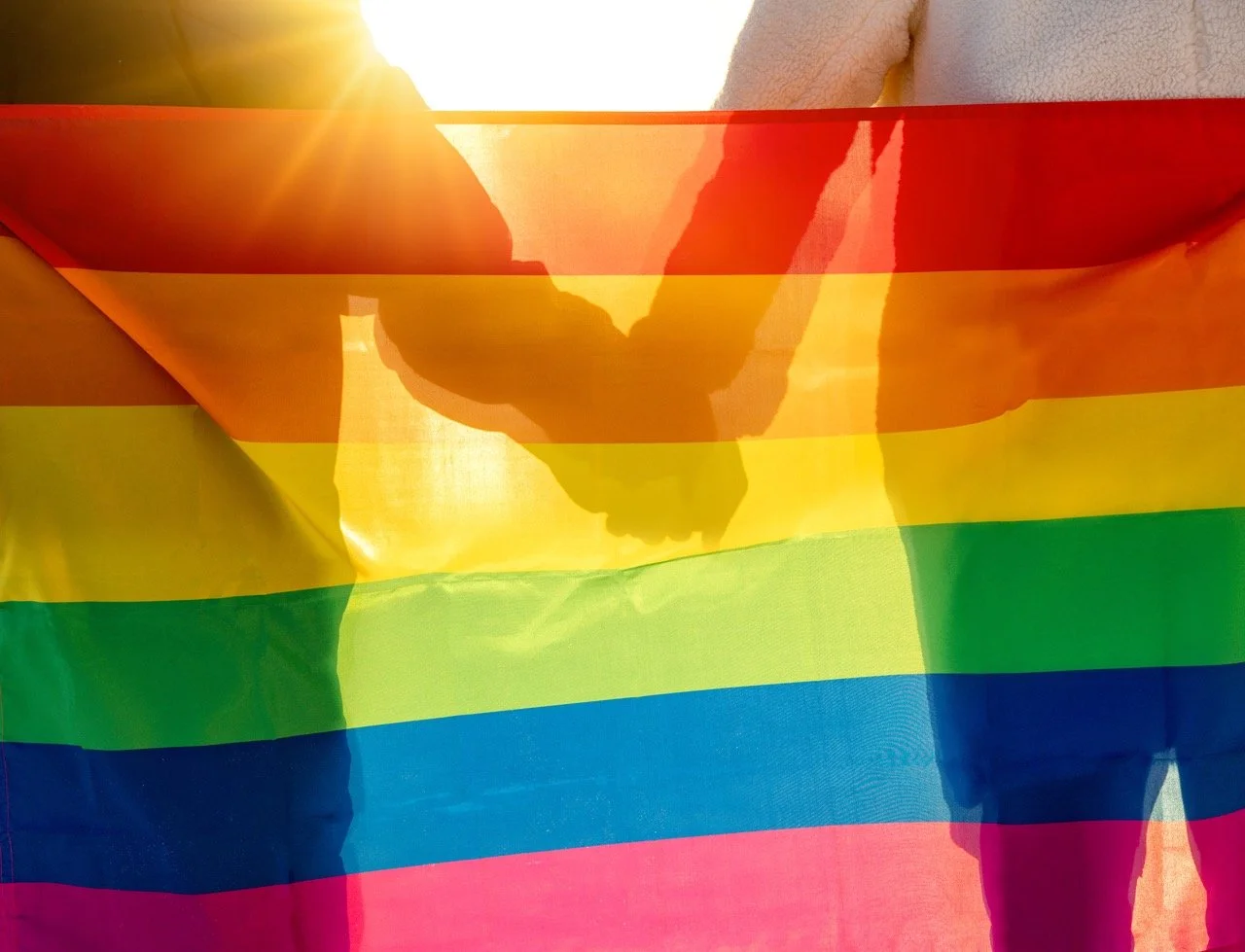 LGBTQ+... What do all the letters mean?