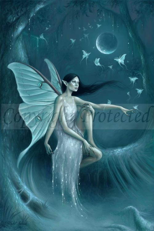 09-luna_moth.7663856_large.jpg