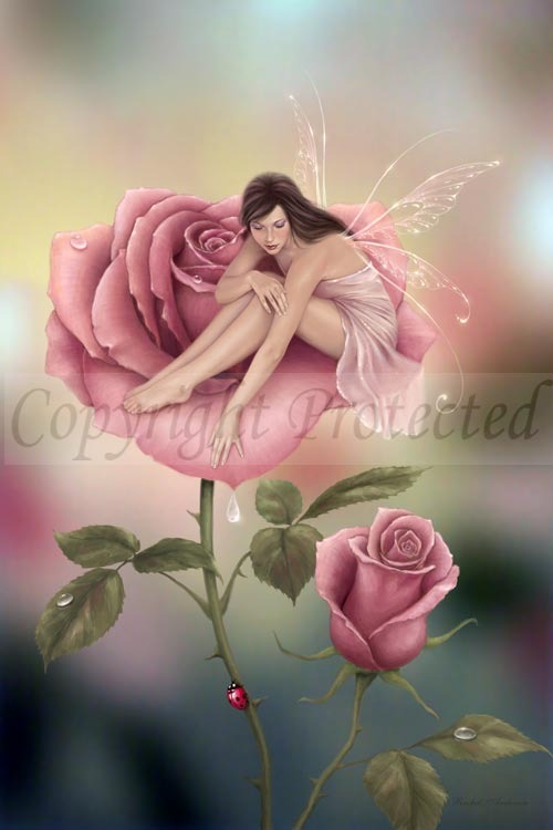 19-rose.7664102_large.jpg