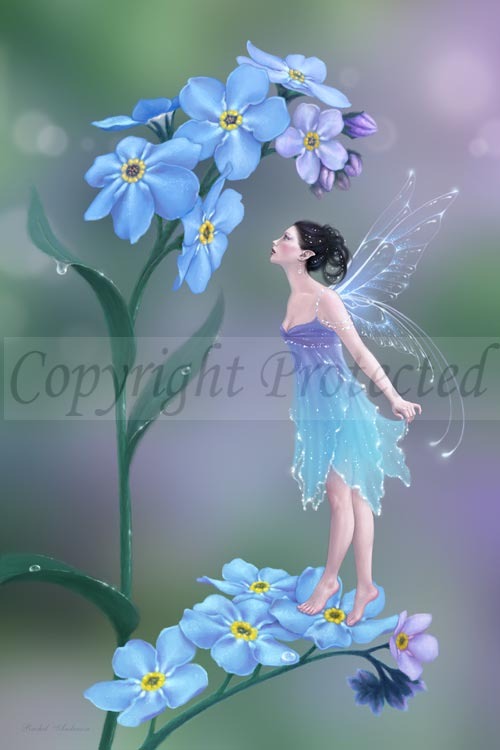 21-forget-me-not.7664136_large.jpg
