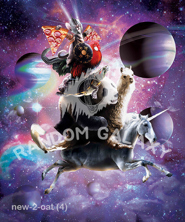 new-2-cat (4) by Random Galaxy