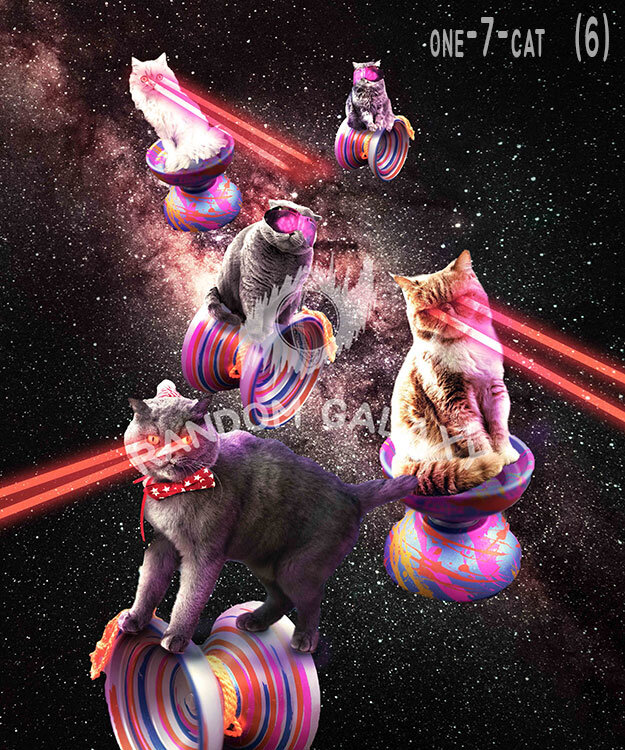 one-7-cat-(6)by Random Galaxy