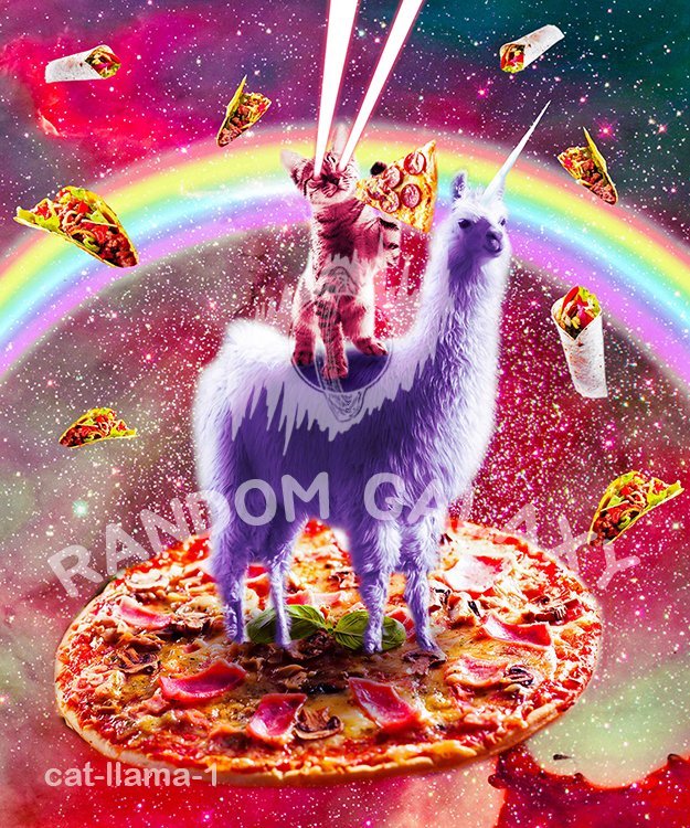 cat-llama-1 by Random Galaxy
