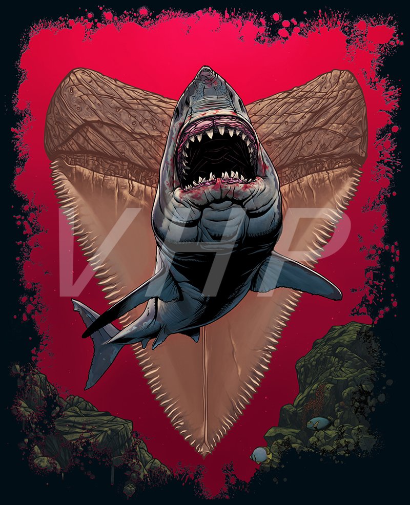 Great White Shark.jpg
