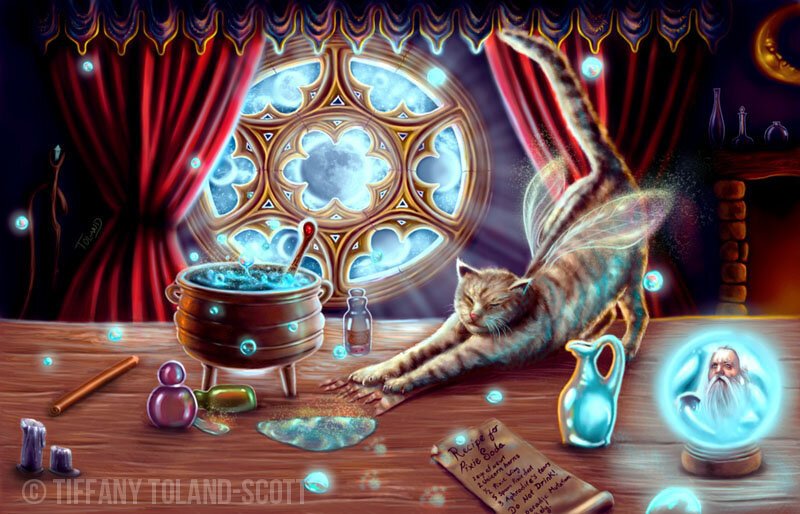 The Apothecarys Cat.jpeg