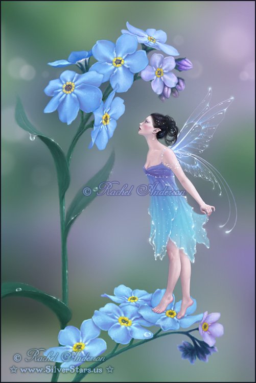 flower_fairy-forget-me-not.jpg