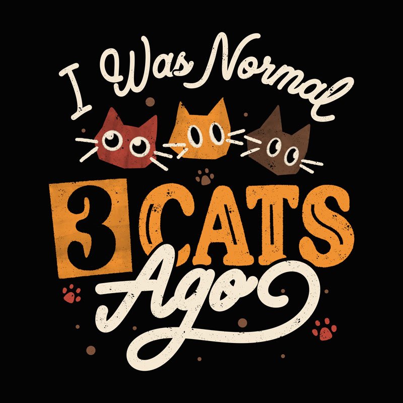 i-was-normal-3-cats-ago.jpg