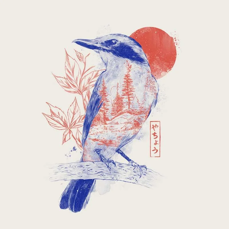 Forest-Bird.jpg