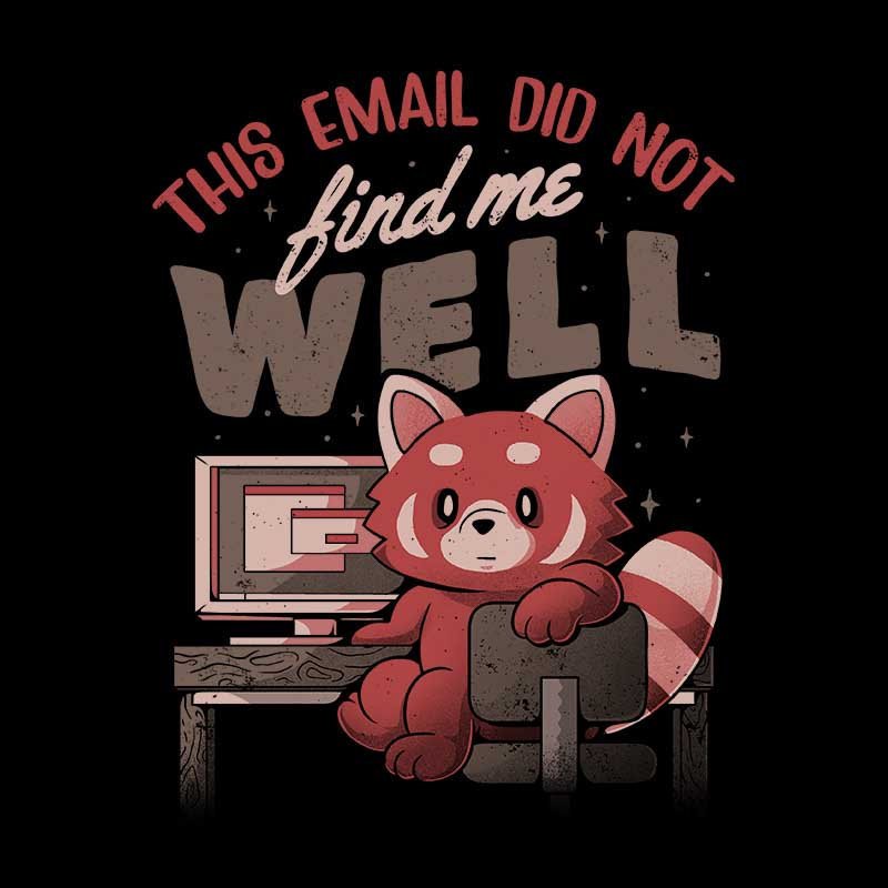 This-Email-Did-Not-Find-Me-Well.jpg