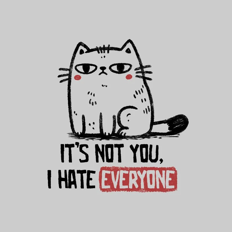 Its-Not-You-I-Hate-Everyone.jpg