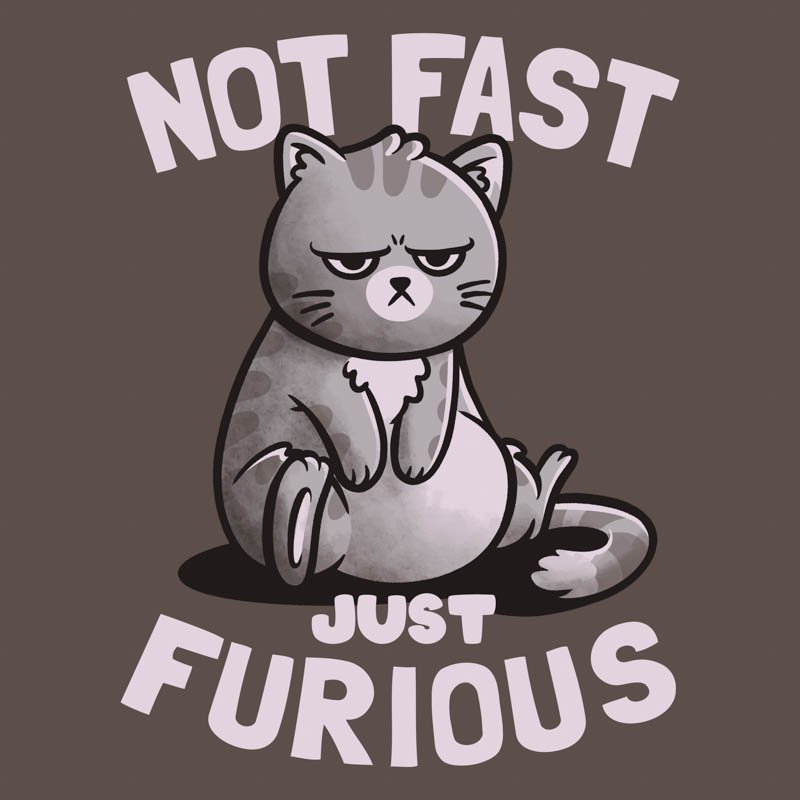Not-Fast-Just-Furious.jpg