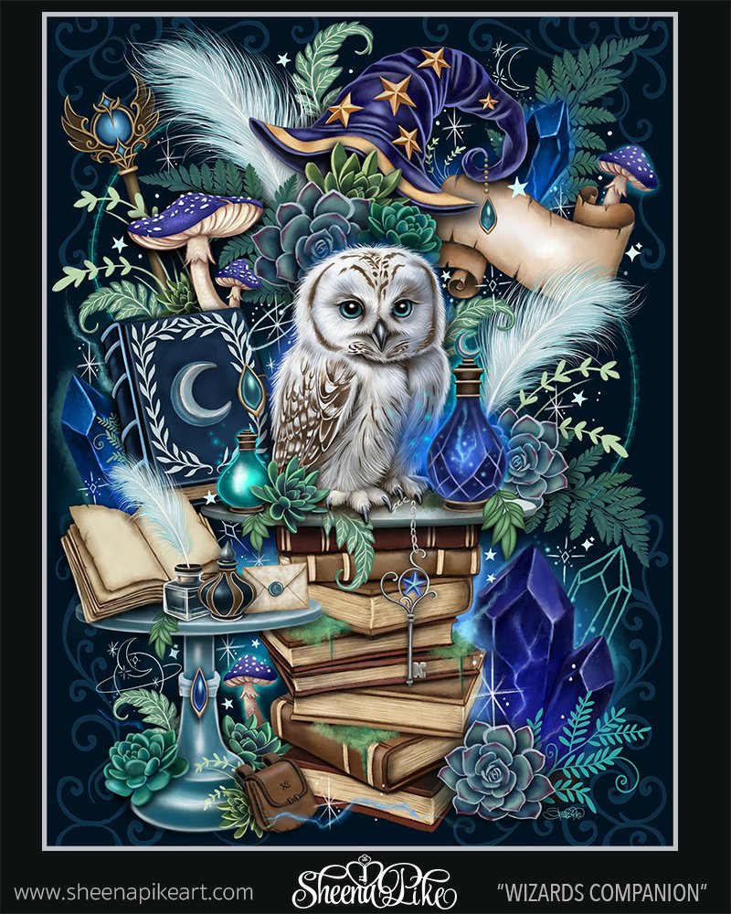 Wizards Companion.jpg