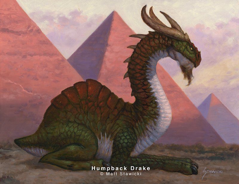 Humpback Drake.jpg