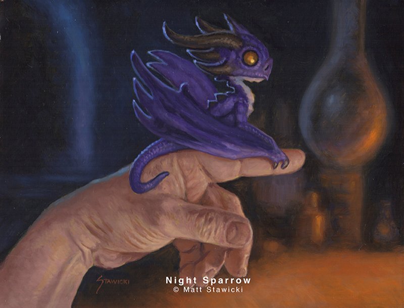 Night Sparrow.jpg