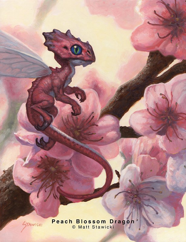 Peach Blossom.jpg