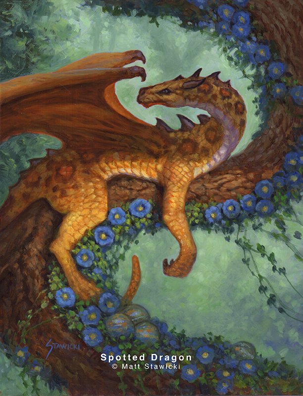 Spotted Dragon.jpg