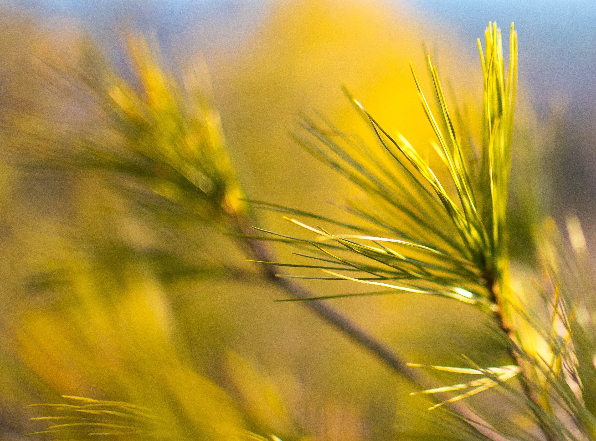 NHDES Climate Action Plan Updates (2)