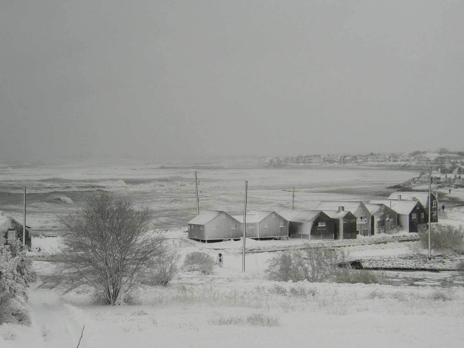 Deadline for Window Dressers Orders in Exeter
