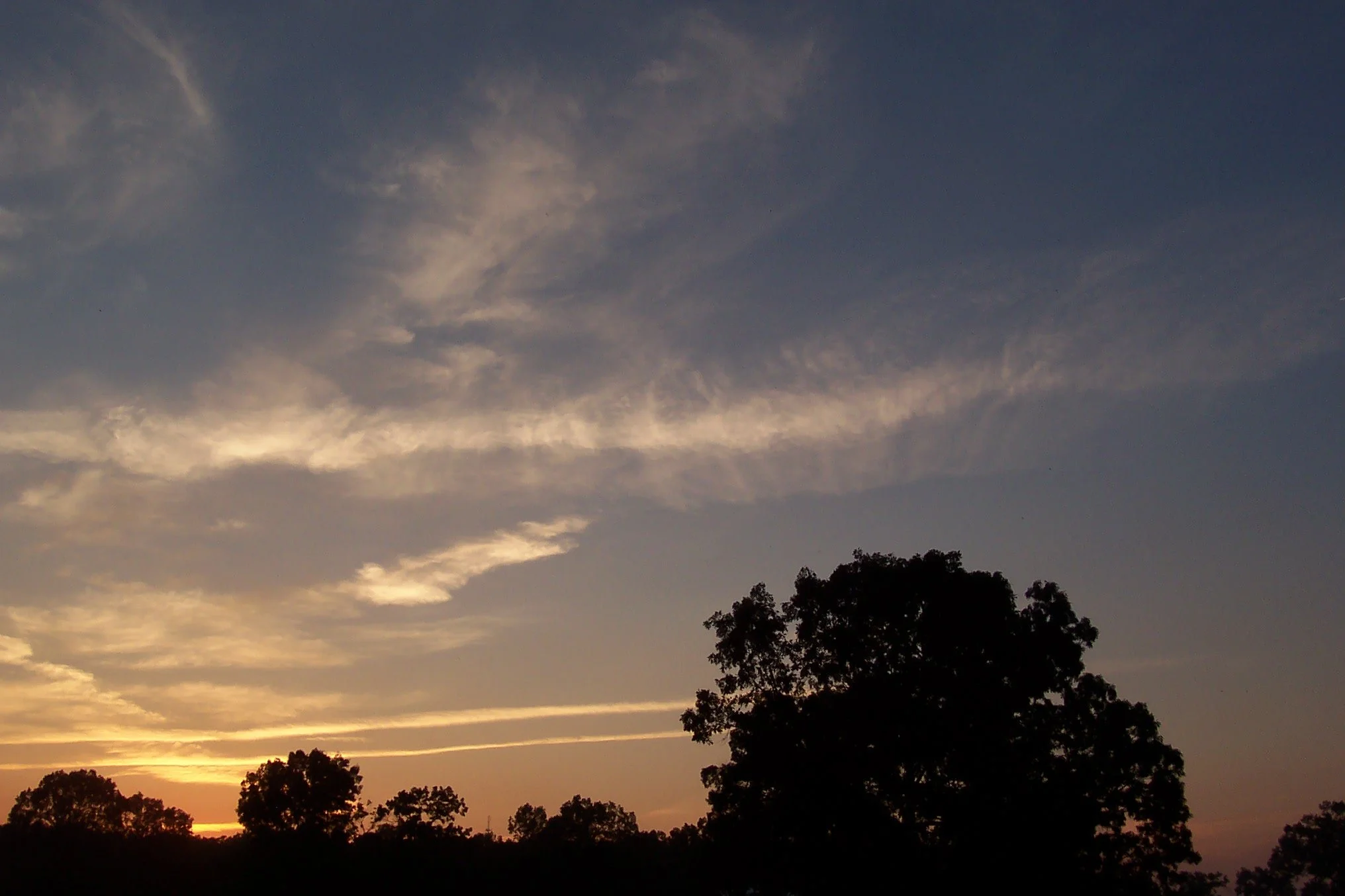 CD 1 Democratic Congressional Forum