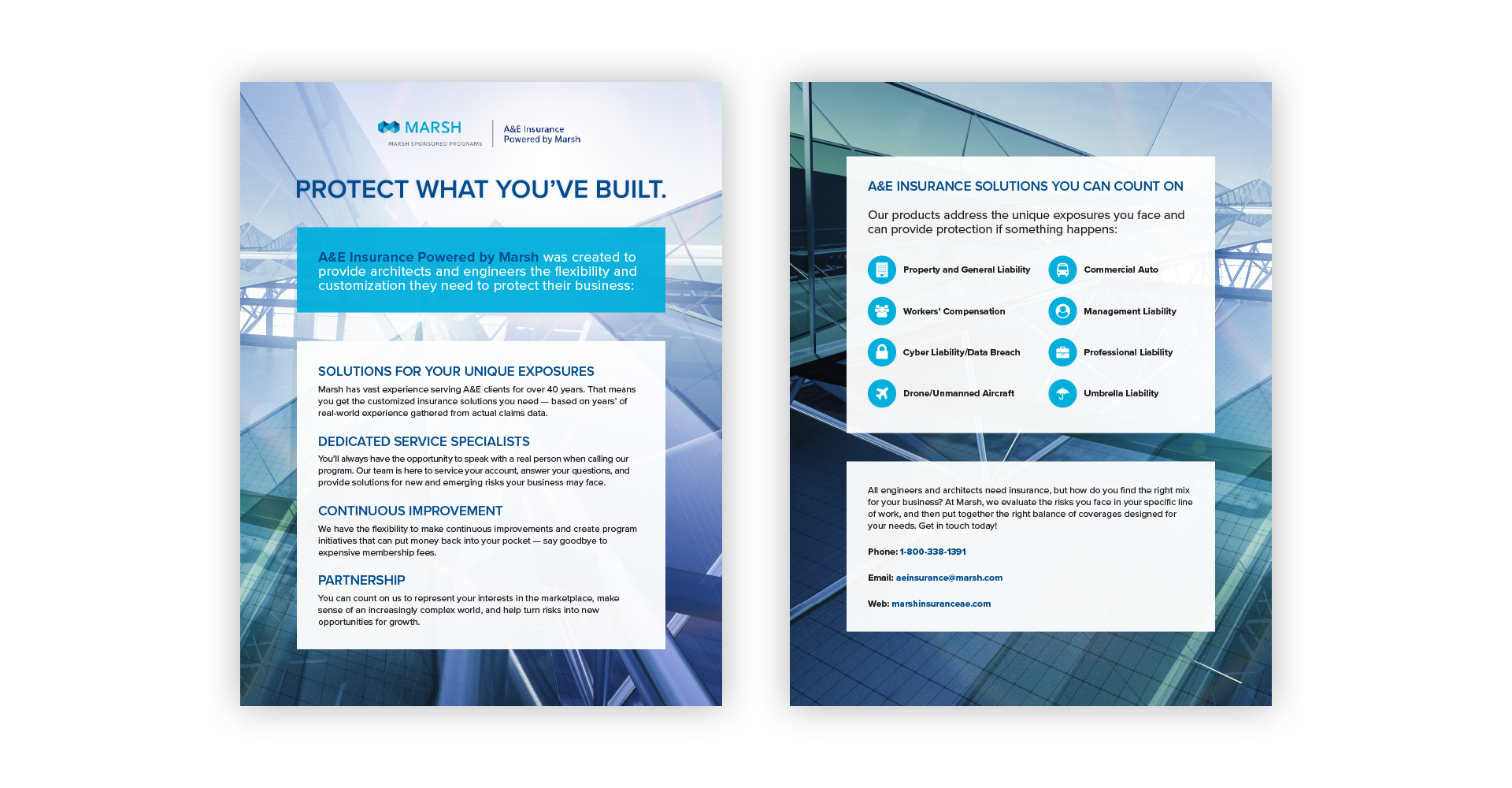 A&amp;E Insurance Flyer