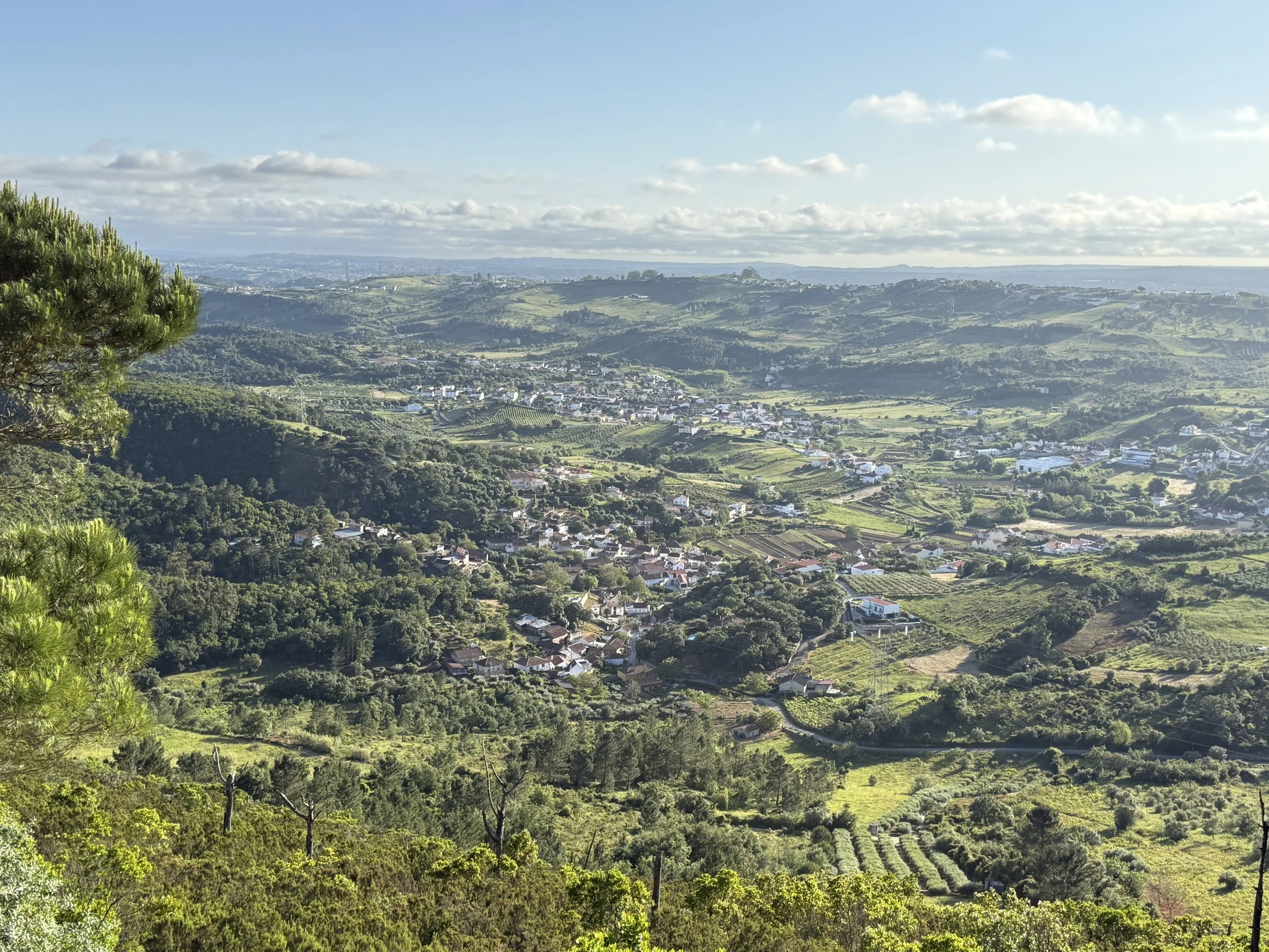 Tiago Frazão Arquitetos - Leiria.JPG