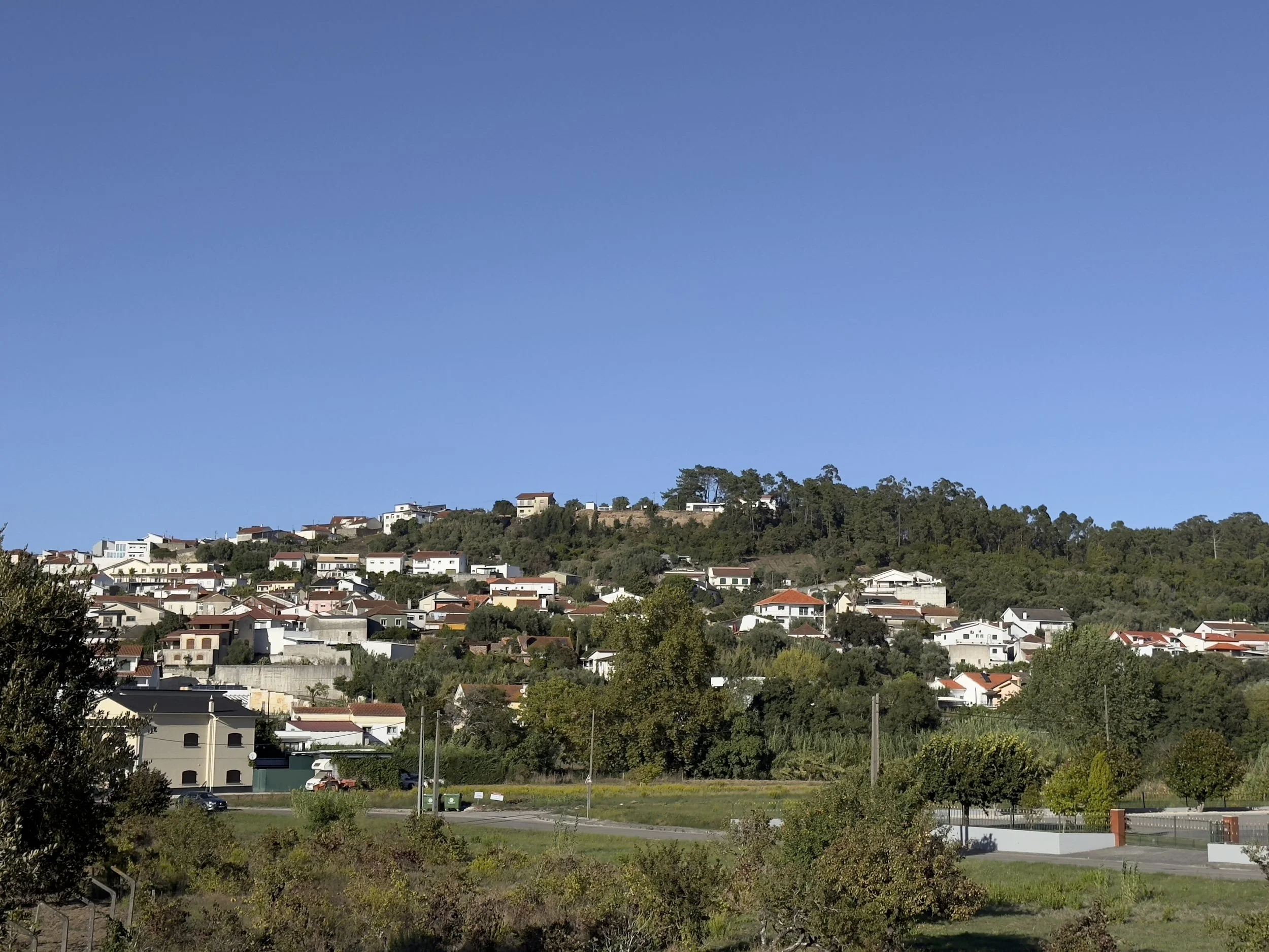 Tiago Frazao Arquitetos - Obra.jpeg