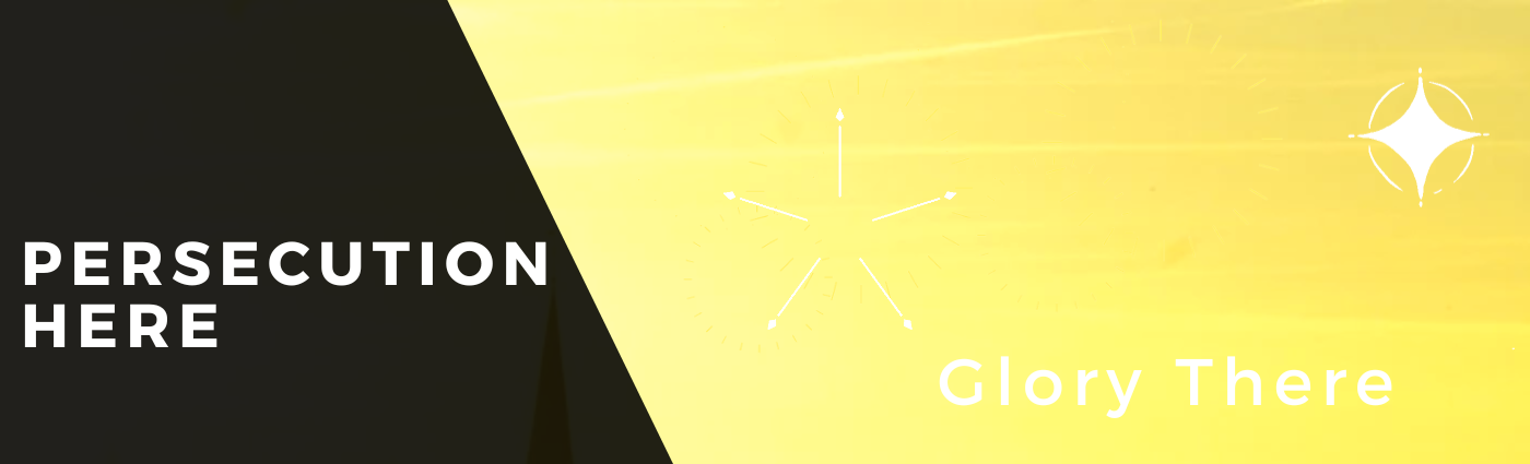 Series 13 Banner.png
