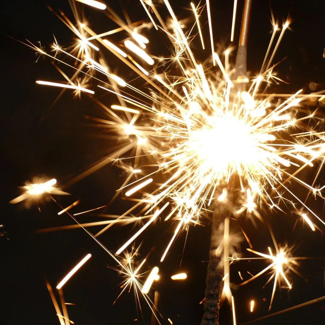 Delco Gives Party in the Park