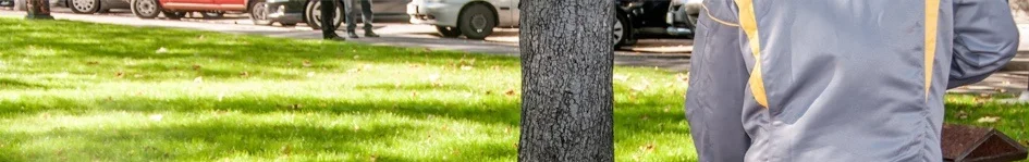 header.jpg
