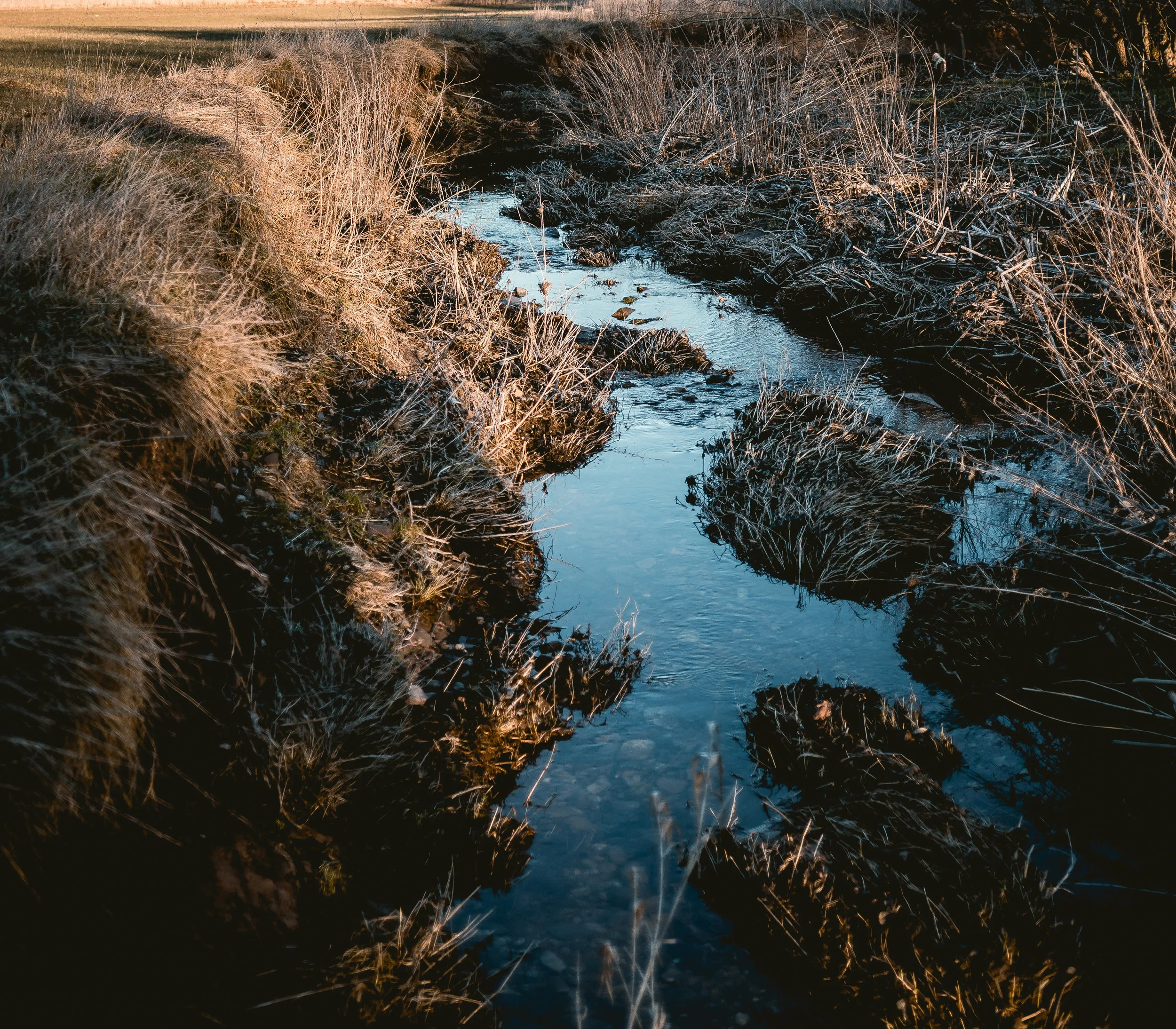 h-a-m-a-n-n-jW5dZsykMpw-unsplash-speilvendt.jpg
