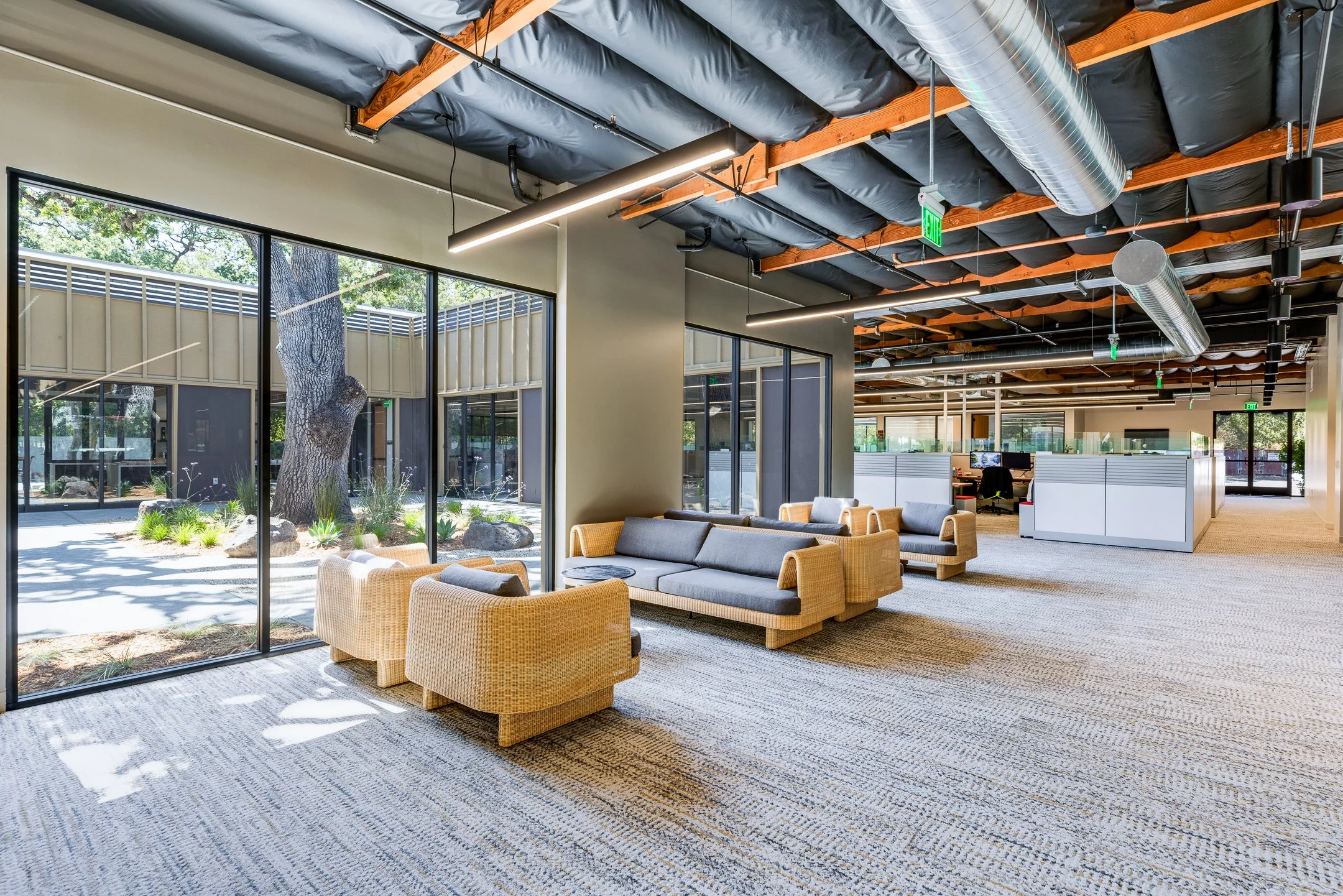 McLarney HQ (10 of 20).jpg