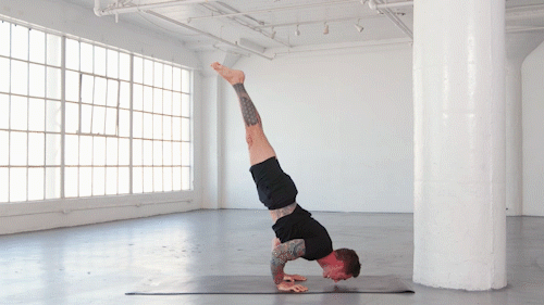 Learn How to Do Handstand Push-Ups with Dylan Werner — Alo Moves