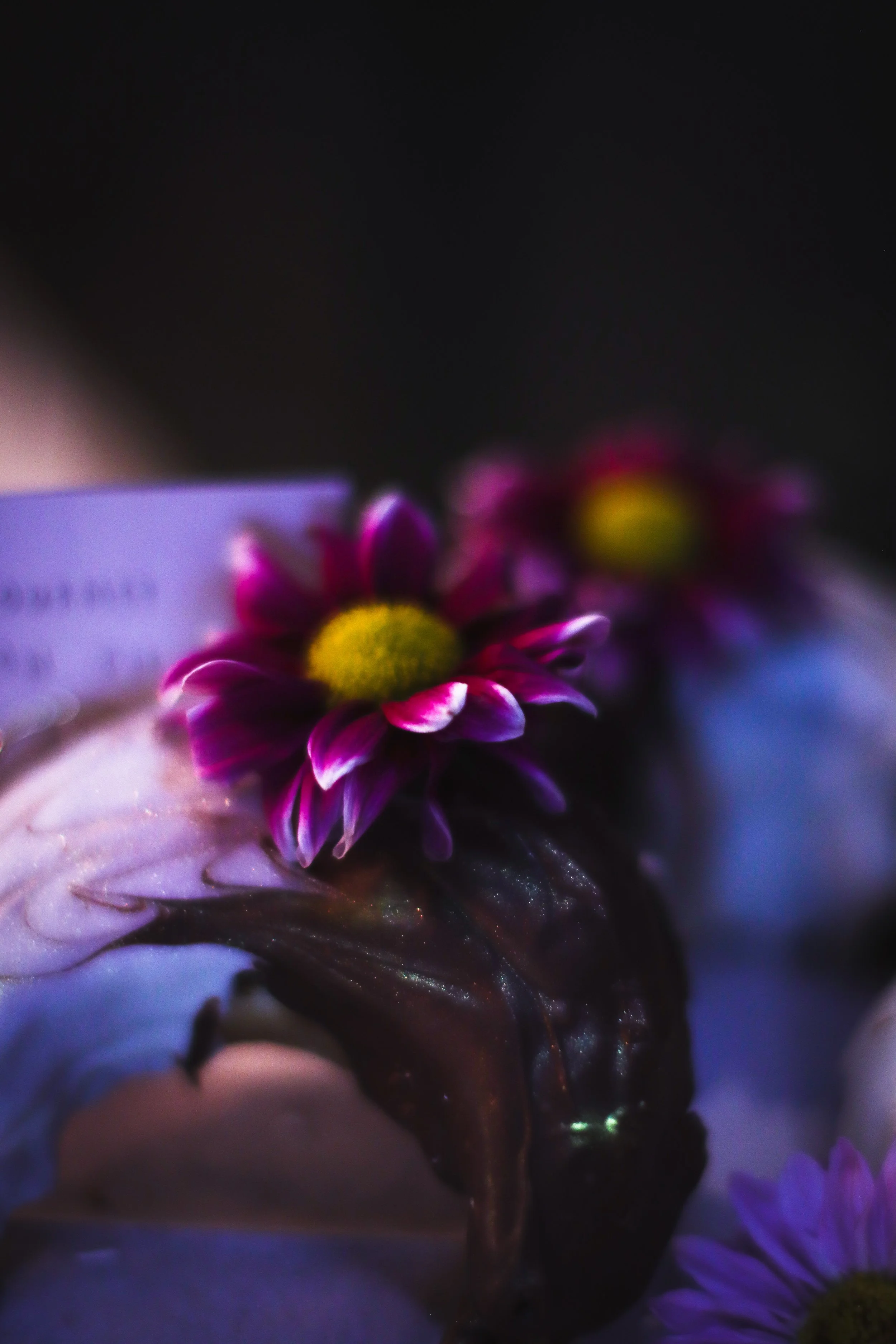 lovelight media content _6476.JPG