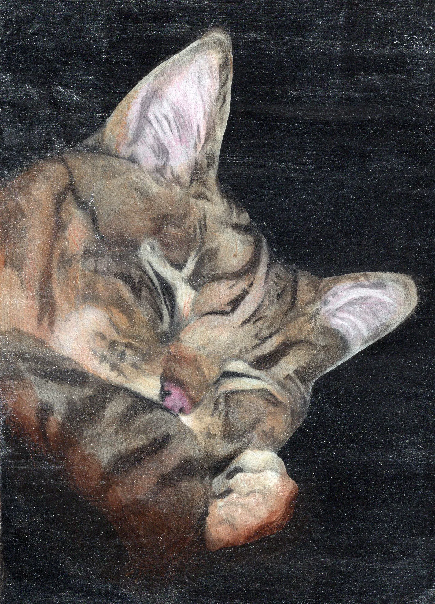 Mounted Cat Portrait: Glitter Finish