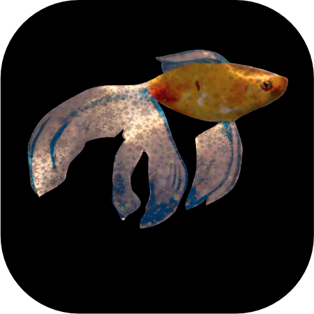 starfish4.png