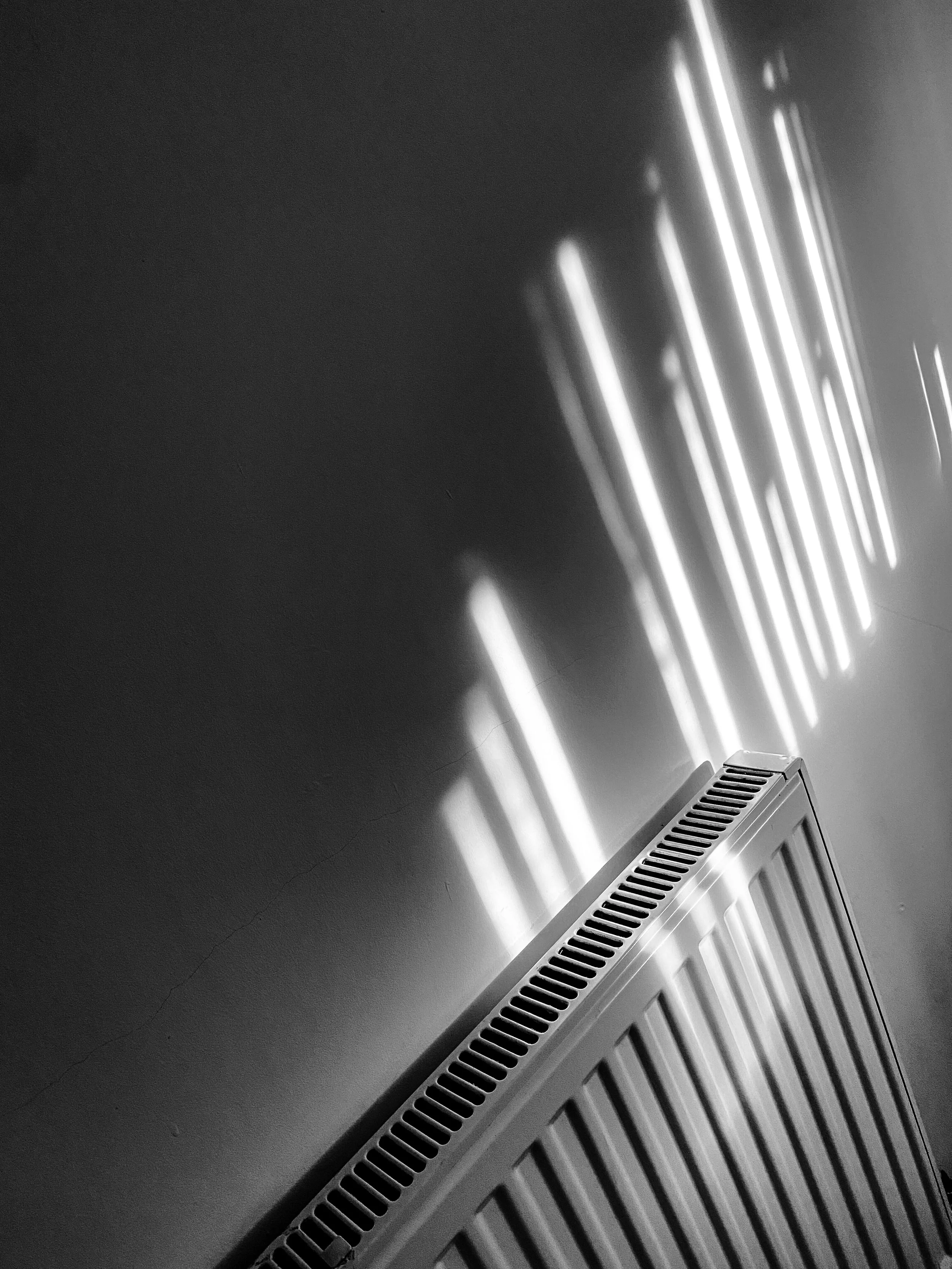 Manifest  (1 of 1).jpg