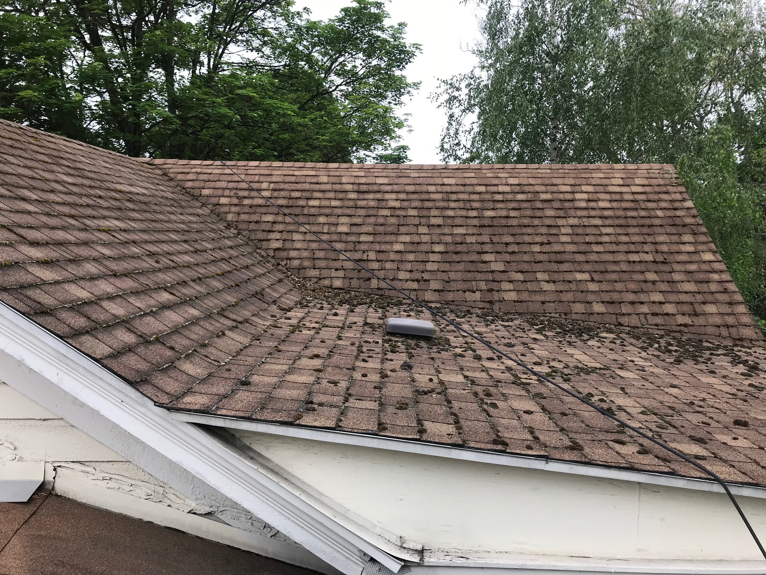 Roof Cleaning