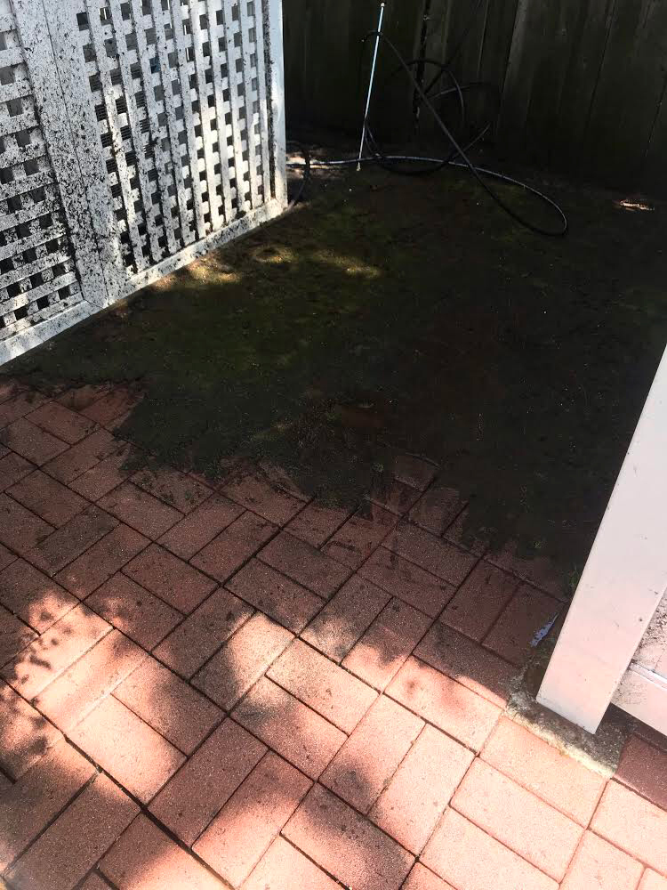 Pressure Washing 