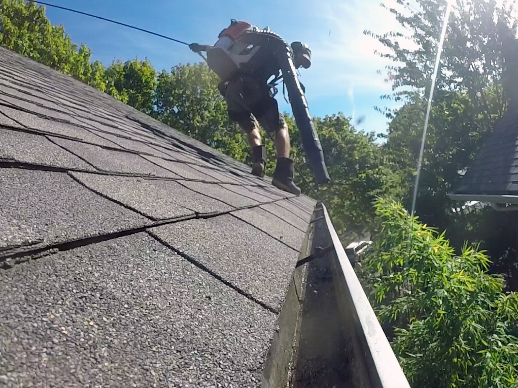 Roof Cleaning Services in Happy Valley OR