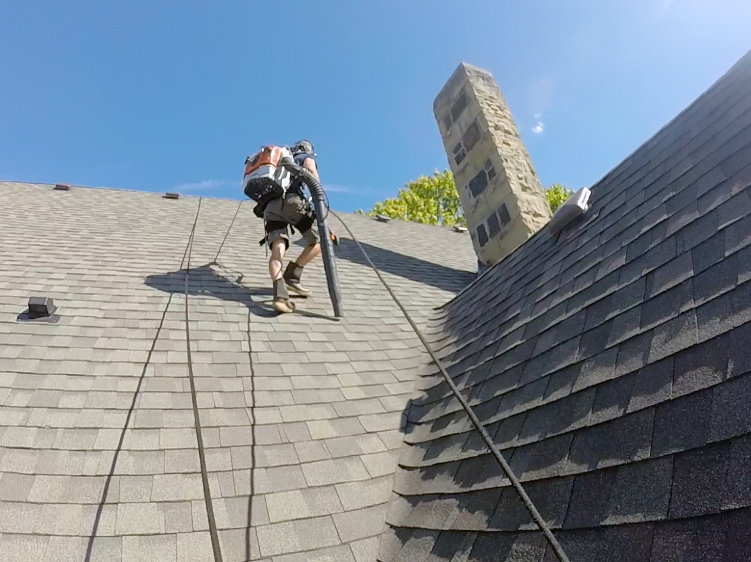 Roof Cleaning Services Gutter Cleaning Services Moss Removal Services Window Cleaning Services Exterior Cleaning Services