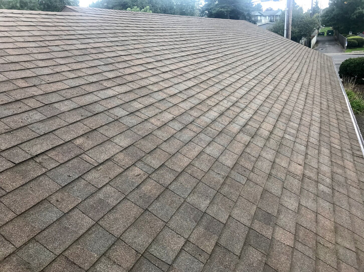 Roof Cleaning