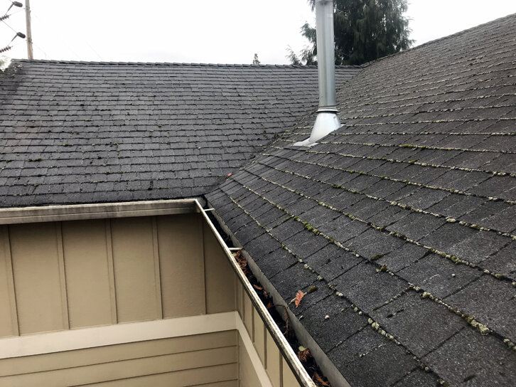 Roof Cleaning Near Me