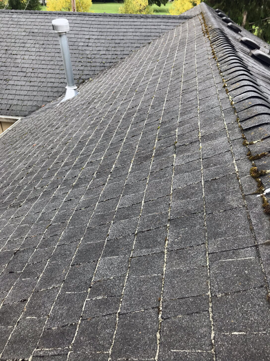 Roof Cleaning