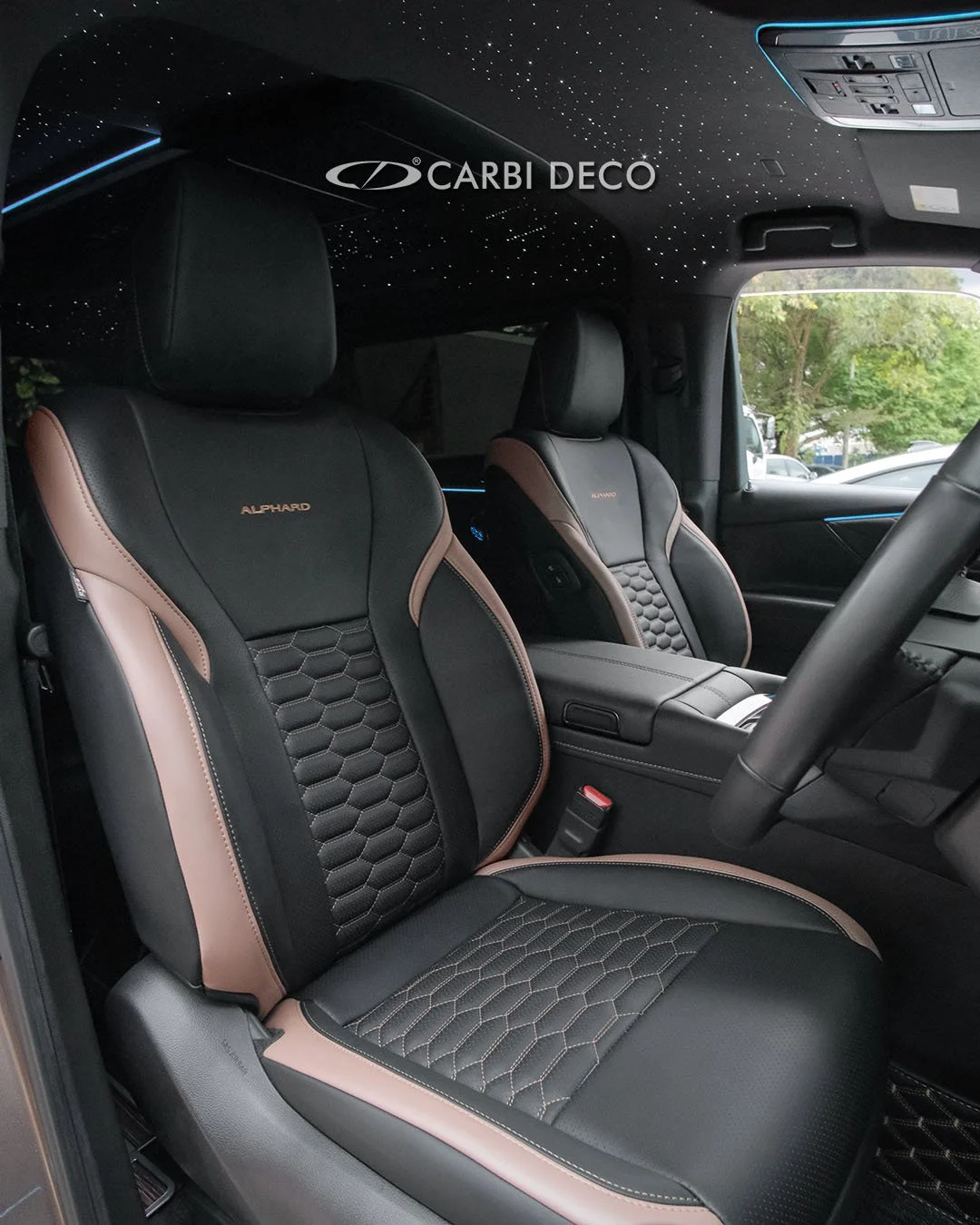 Toyota Alphard Z agh40 custom leather seats interior starlight roof (6).jpg