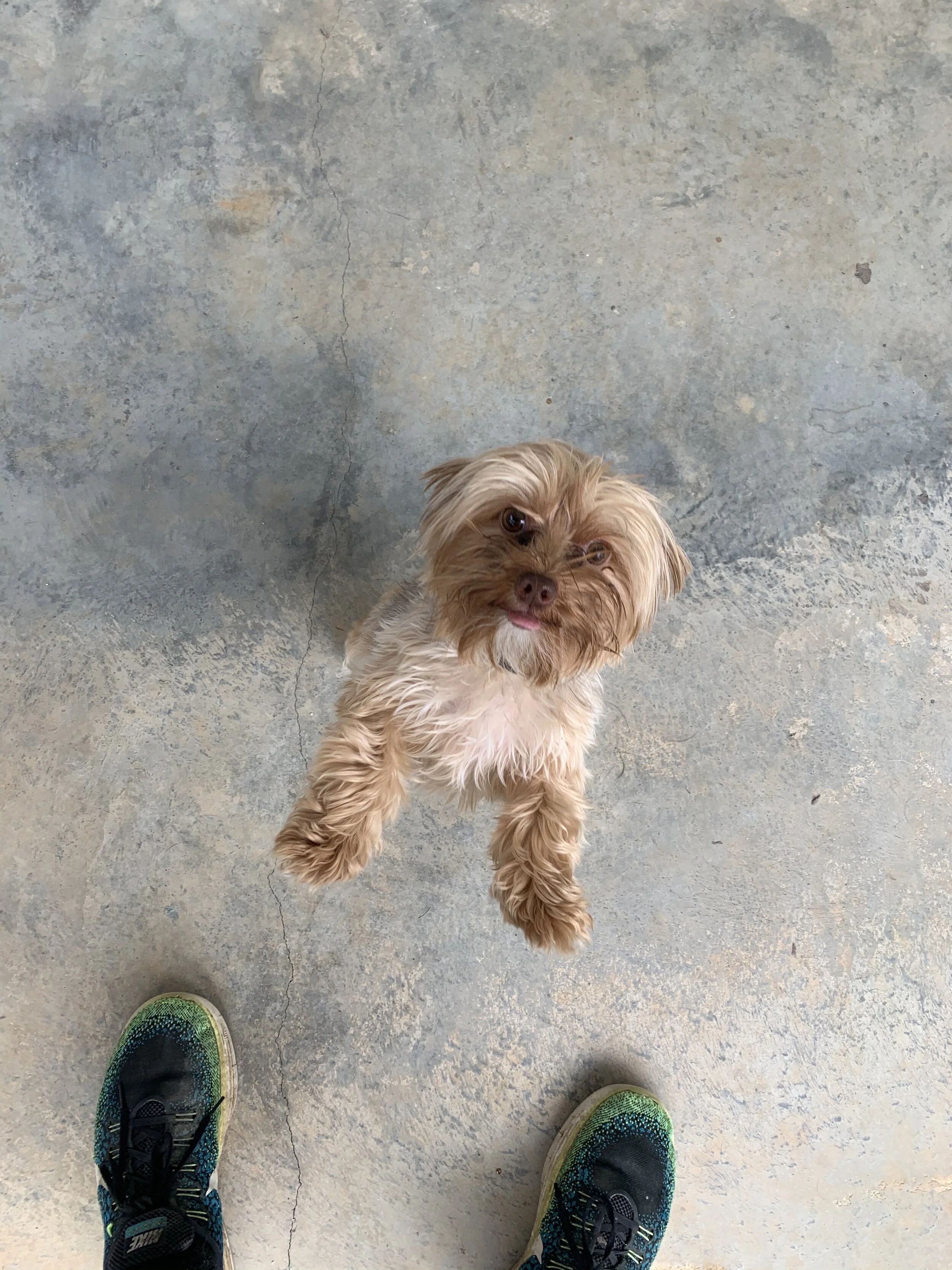 Photo Oct 12, 11 47 58 AM.jpg