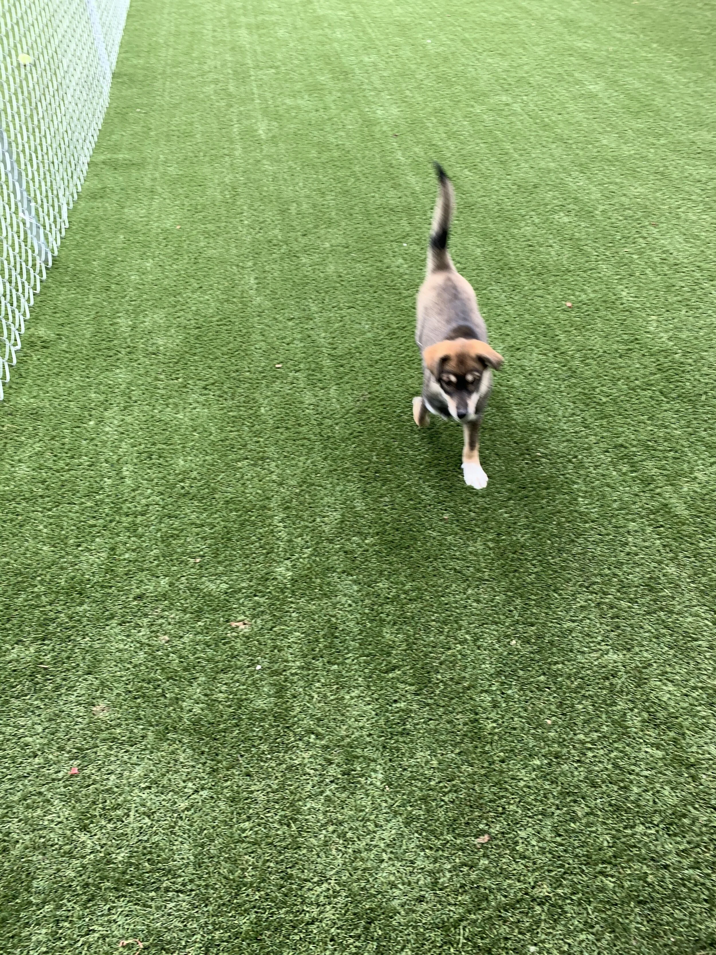 Photo Oct 12, 11 48 33 AM.jpg