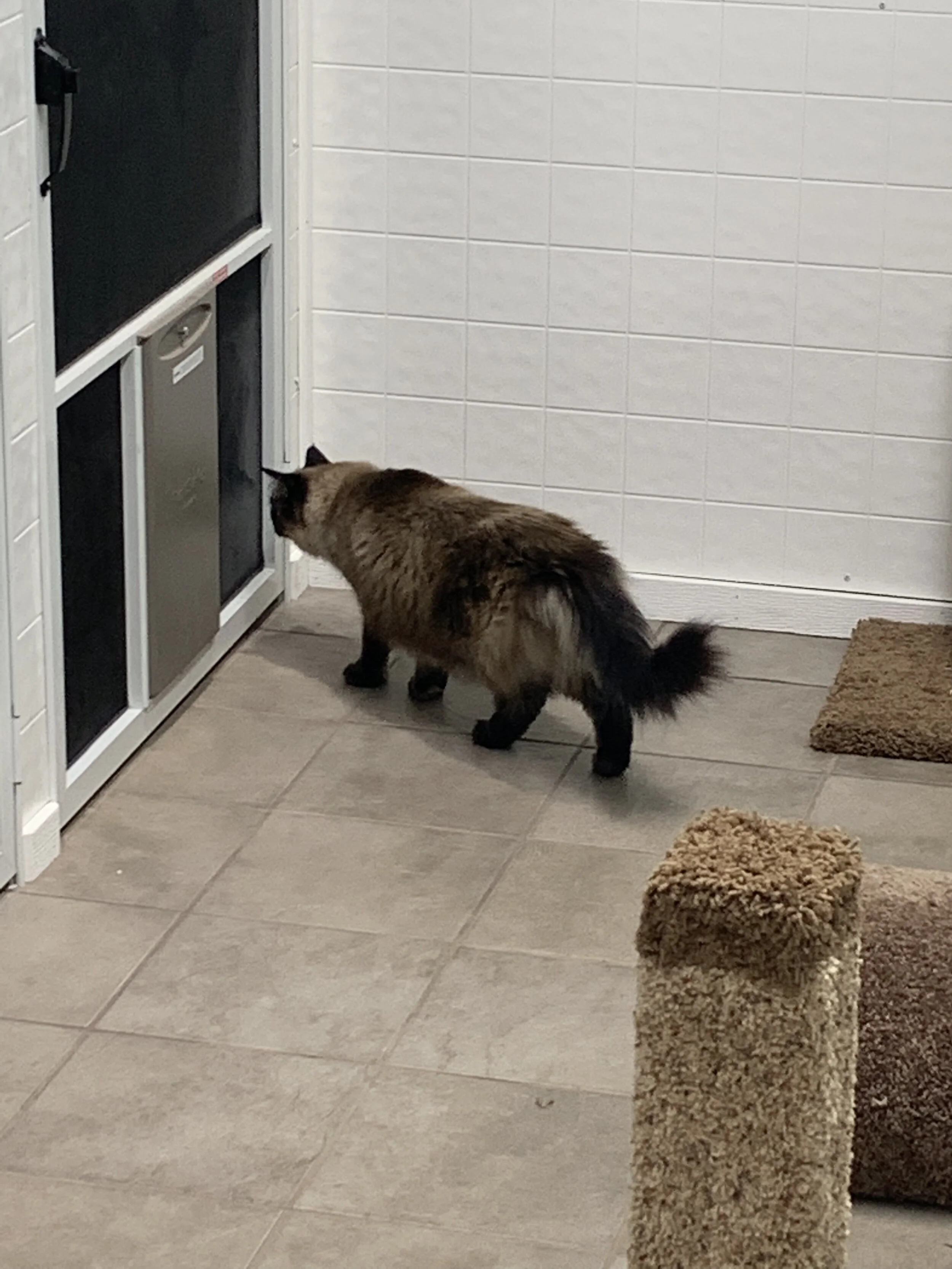 Photo Sep 09, 9 22 59 AM.jpg