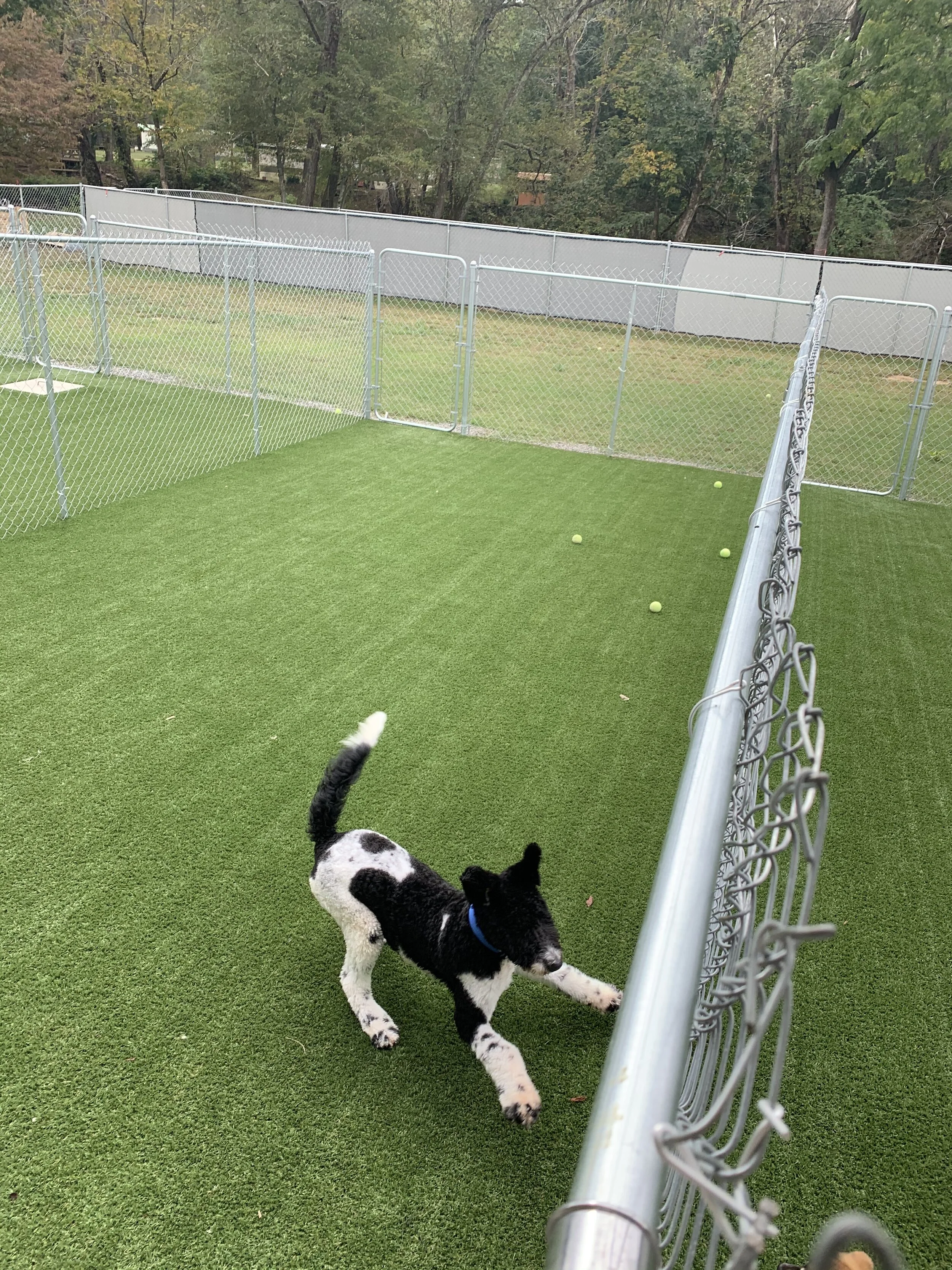 Photo Oct 12, 11 48 47 AM.jpg